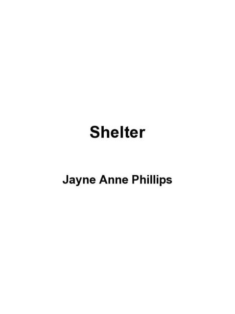 Cover image for book Shelter
