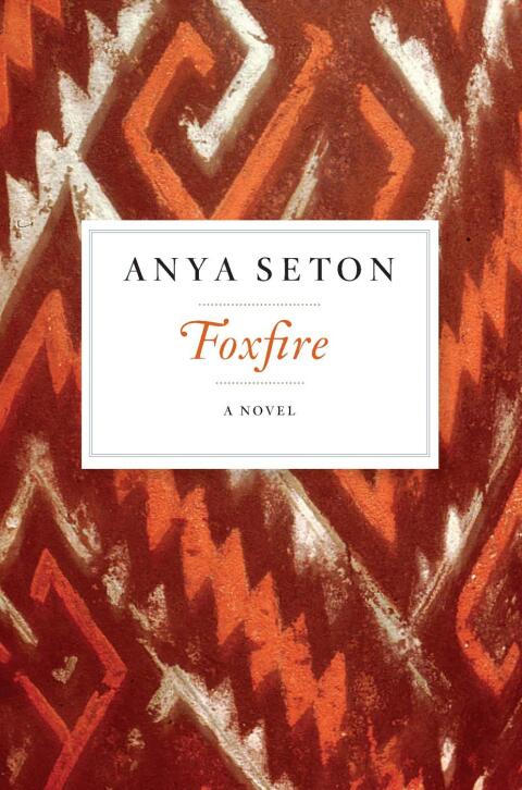 Cover image for book Foxfire