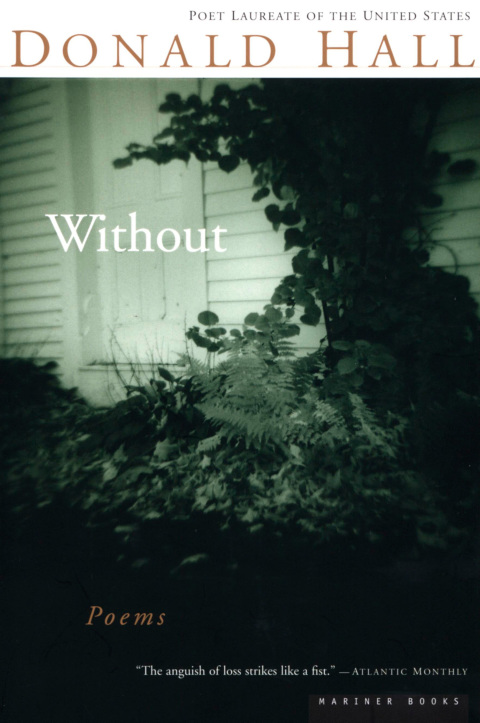 Cover image for book Without