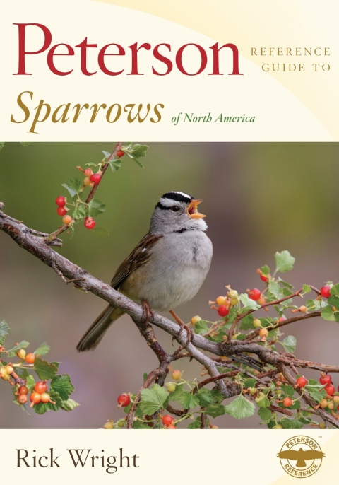Peterson Reference Guide To Sparrows Of North America 