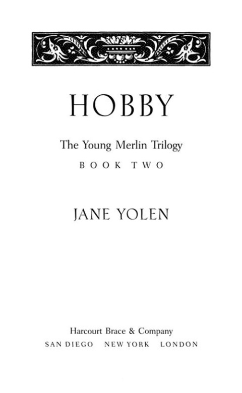 Cover image for book Hobby