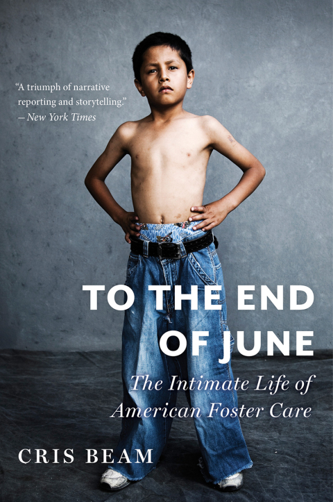 Cover image for book To the End of June