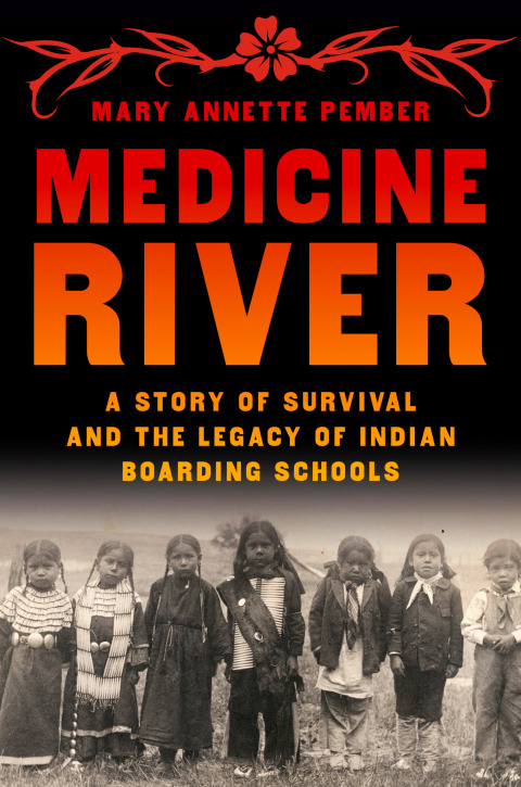 Cover image for book Medicine River