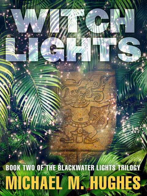 Cover image for book Witch Lights