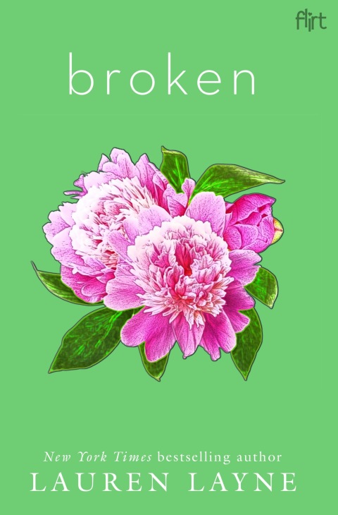 Cover image for book Broken