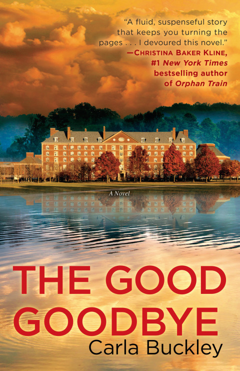 Cover image for book The Good Goodbye