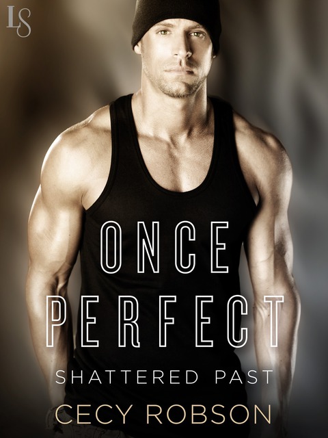 Cover image for book Once Perfect