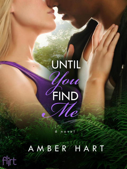 Cover image for book Until You Find Me