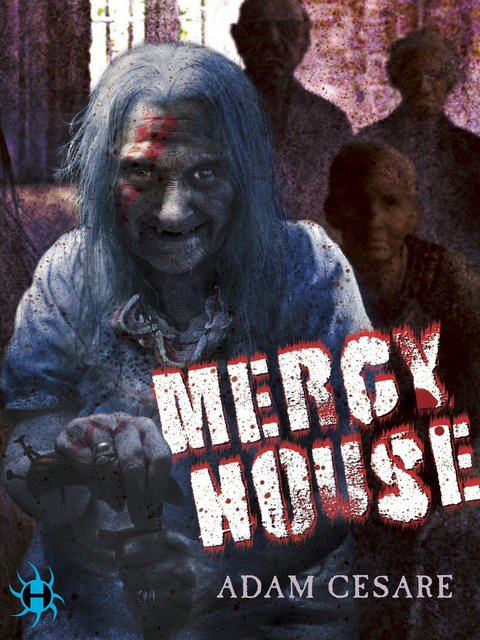 Cover image for book Mercy House