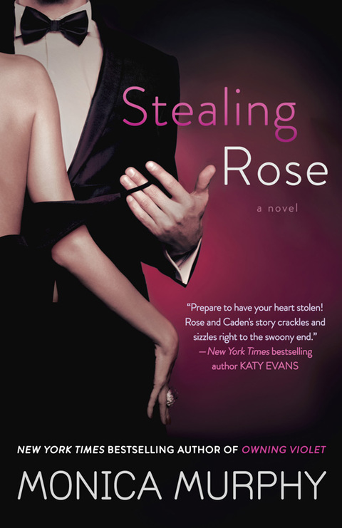 Cover image for book Stealing Rose