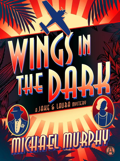 Cover image for book Wings in the Dark