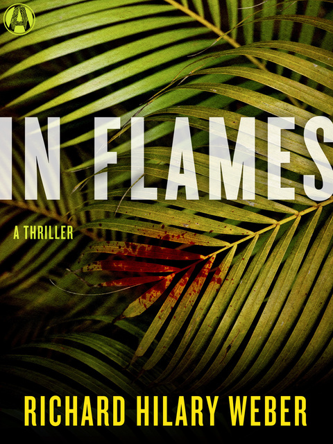 Cover image for book In Flames