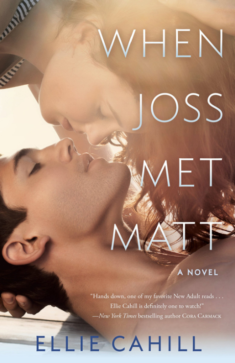 Cover image for book When Joss Met Matt