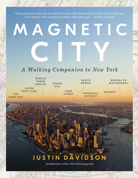 Cover image for book Magnetic City