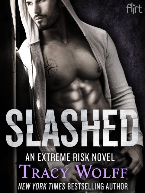 Cover image for book Slashed