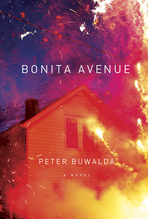 Cover image for book Bonita Avenue