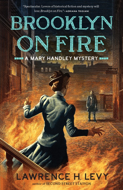 Cover image for book Brooklyn on Fire