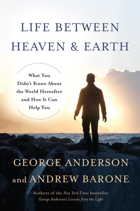 Cover image for book Life Between Heaven and Earth