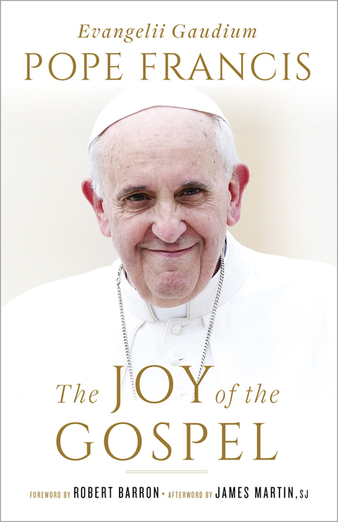 Cover image for book The Joy of the Gospel