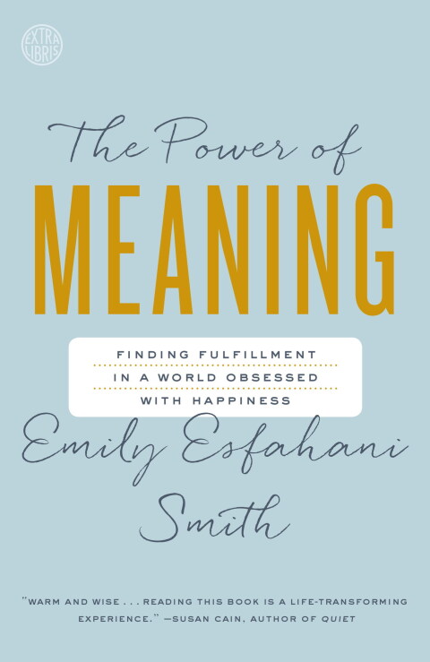 Cover image for book The Power of Meaning