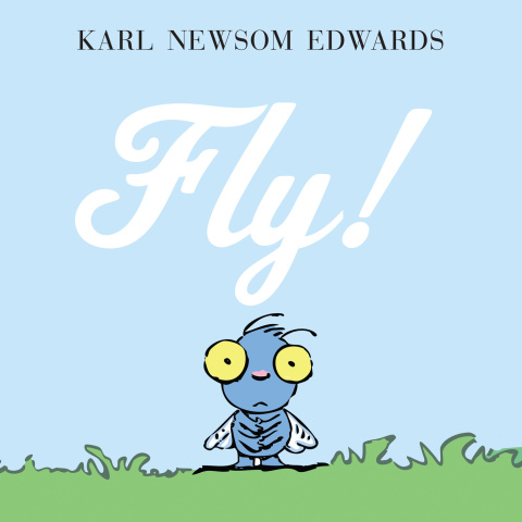 Cover image for book Fly!
