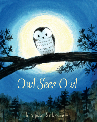 Owl Sees Owl
