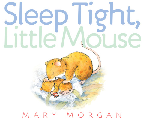 Cover image for book Sleep Tight, Little Mouse