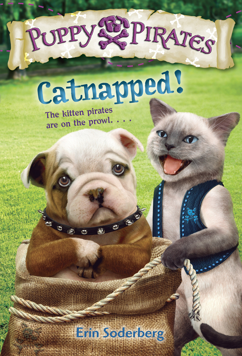 Cover image for book Puppy Pirates #3: Catnapped!