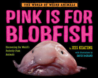 Pink Is For Blobfish