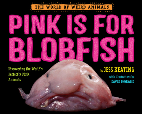 Cover image for book Pink Is For Blobfish
