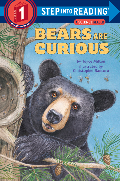 Cover image for book Bears Are Curious