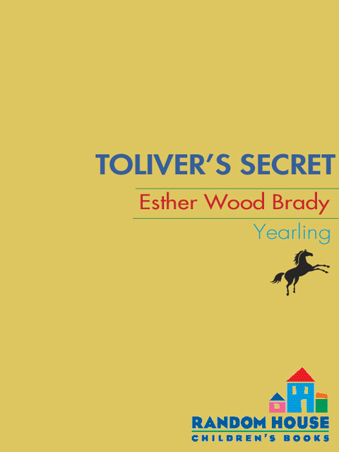 Cover image for book Toliver's Secret