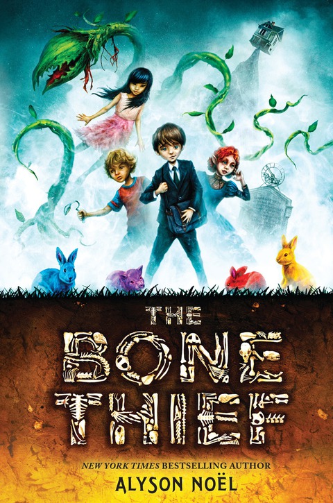 Cover image for book The Bone Thief