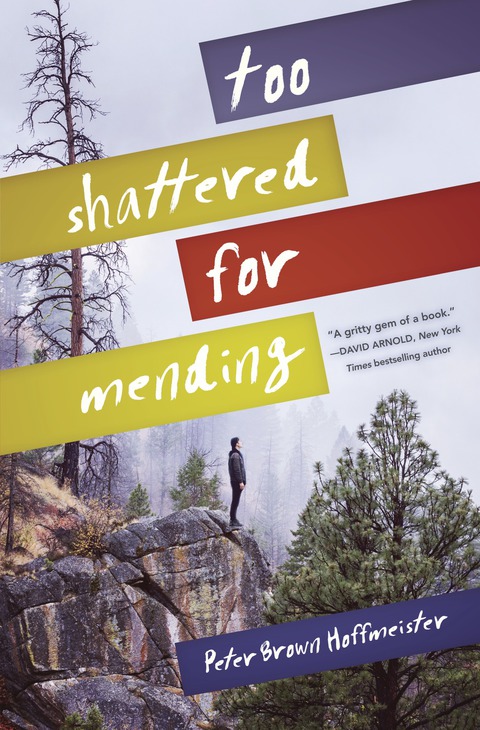 Cover image for book Too Shattered for Mending