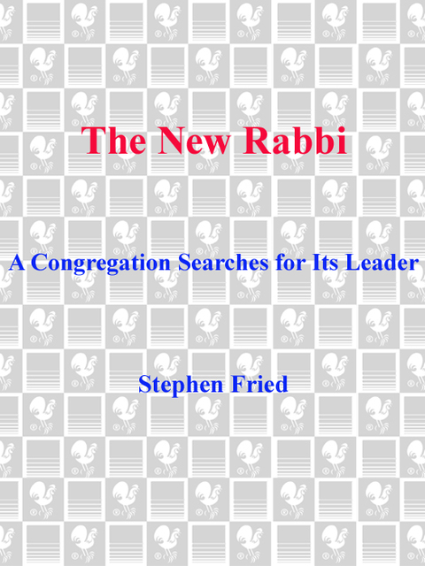 Cover image for book The New Rabbi