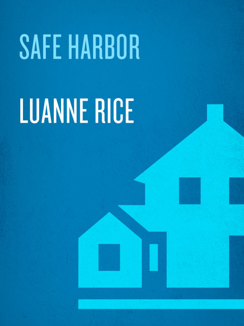 Cover image for book Safe Harbor
