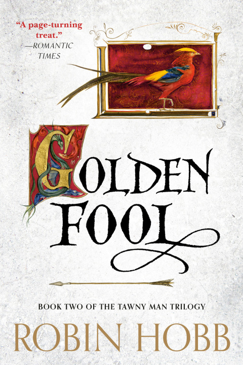Cover image for book Golden Fool