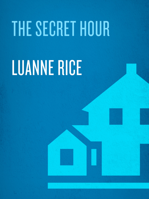 Cover image for book The Secret Hour