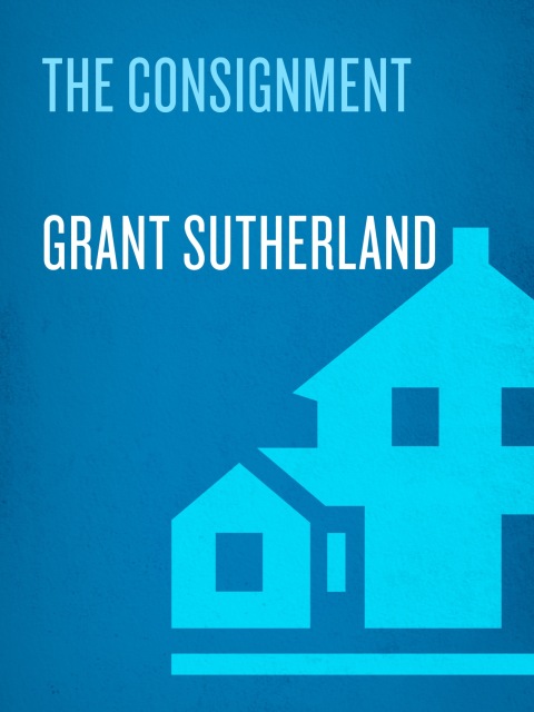 Cover image for book The Consignment