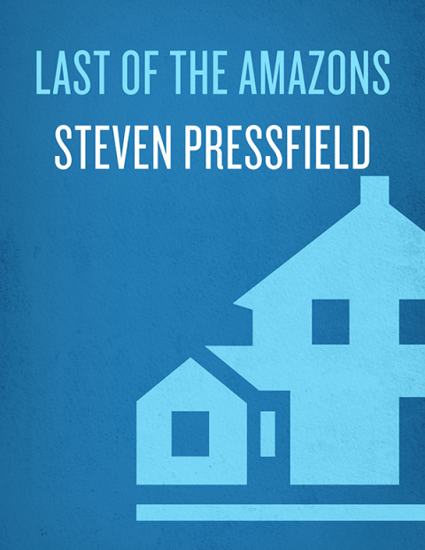 Cover image for book Last of the Amazons