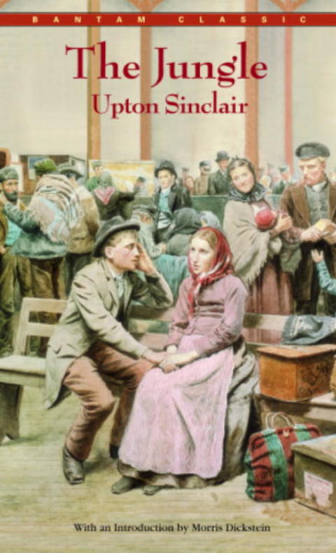 Cover image for book The Jungle