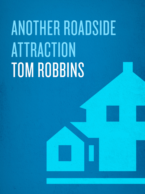 Cover image for book Another Roadside Attraction