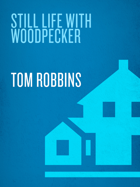 Cover image for book Still Life with Woodpecker