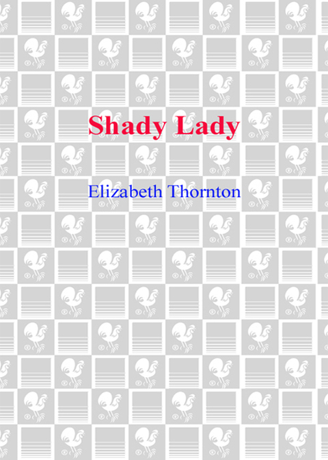Cover image for book Shady Lady