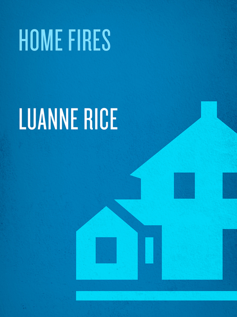 Cover image for book Home Fires