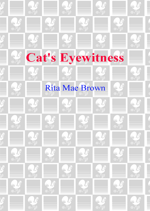 Cover image for book Cat's Eyewitness