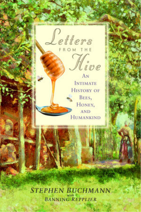 Cover image for book Letters from the Hive