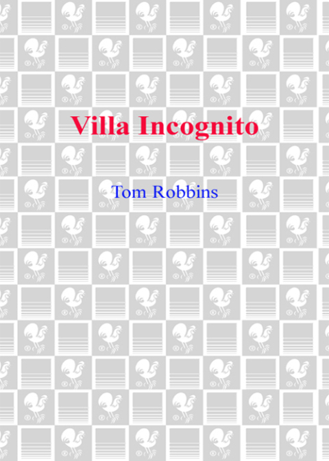 Cover image for book Villa Incognito