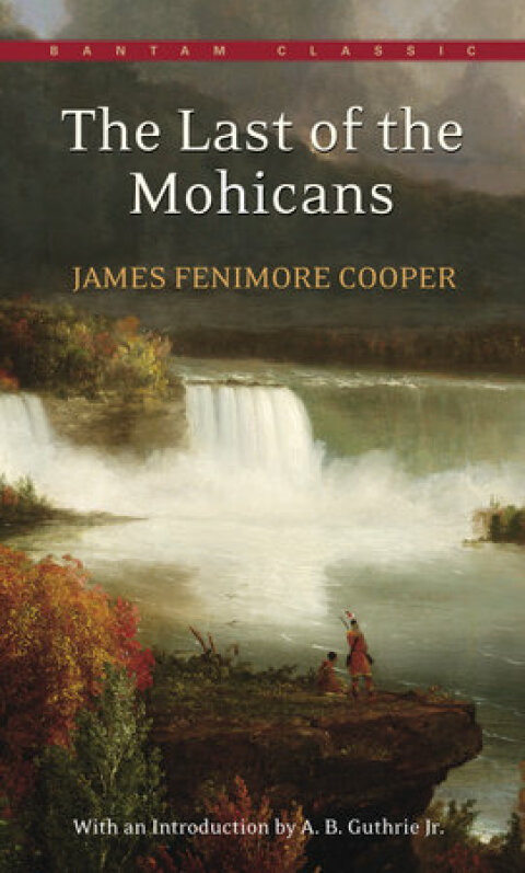 Cover image for book The Last of the Mohicans