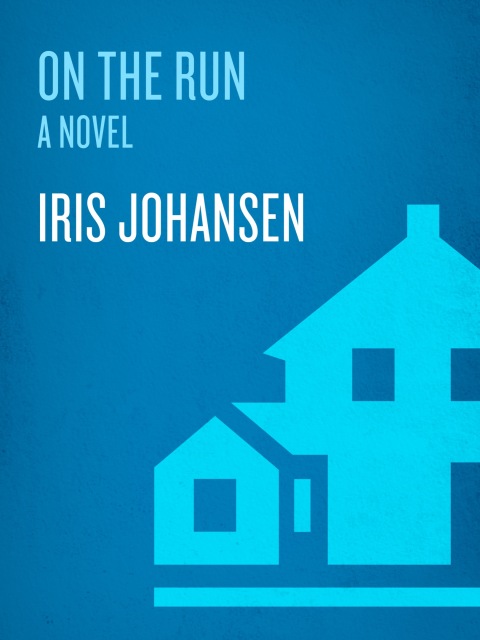 Cover image for book On the Run
